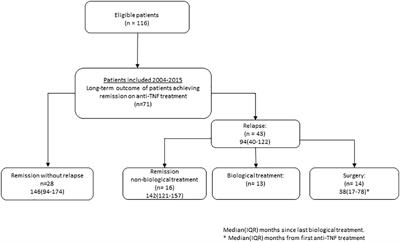 Intensified anti-TNF treatment downregulates the phenotype in ulcerative colitis: a 13-year prospective follow-up study